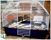 K�fig mit H�ngen�pfen