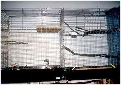 Des cages de grande taille