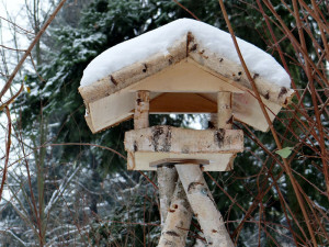 Futterhäuschen im Landhausstil, das teilweise aus Birkenholz gebaut wurde, © Schreib-Engel / Pixabay
