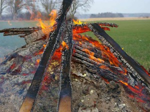 So manches Osterfeuer wird für Wildtiere zum Scheiterhaufen, © Skullman / Pixabay