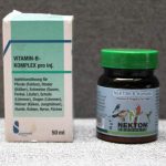 Vitamin B Komplex ist eine wichtige Ergänzung bei reiner Insektenfütterung,© Anke Dornbach