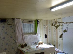 Blick in ein vorbildlich eingerichtetes Zimmer für Schwalben, © N.K und T.K